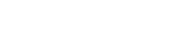 Nobex Partners